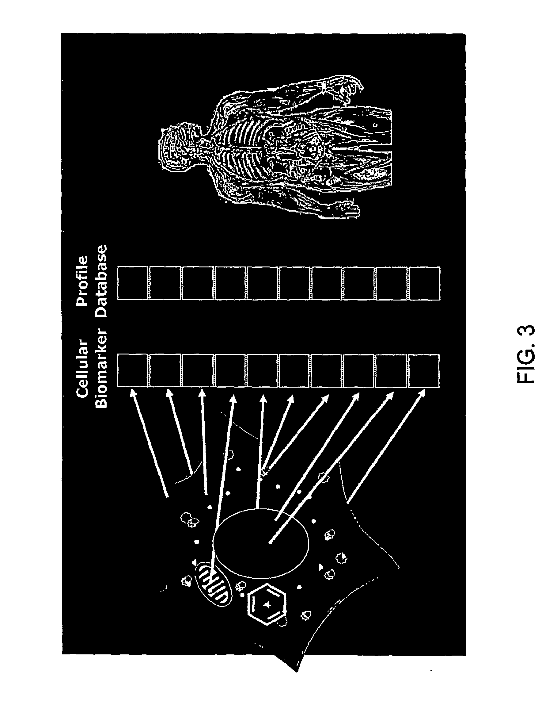 Method for Modeling a Disease