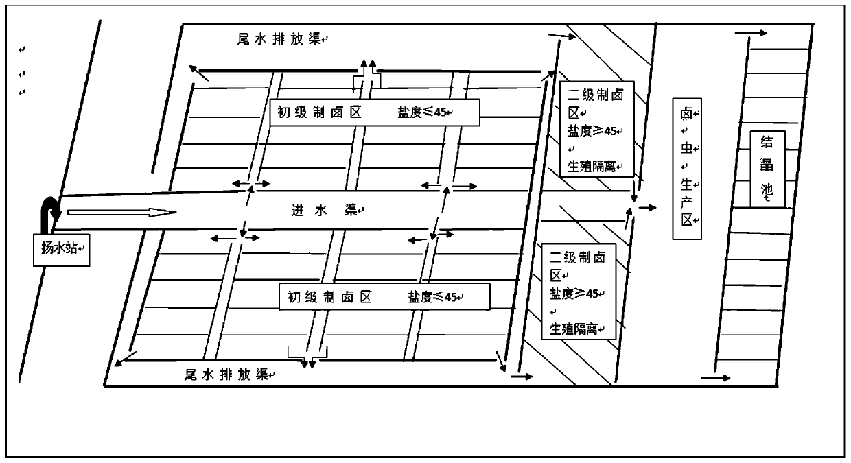 Large-scale cultivation method for preventing and controlling alien marine shellfish organism invasion