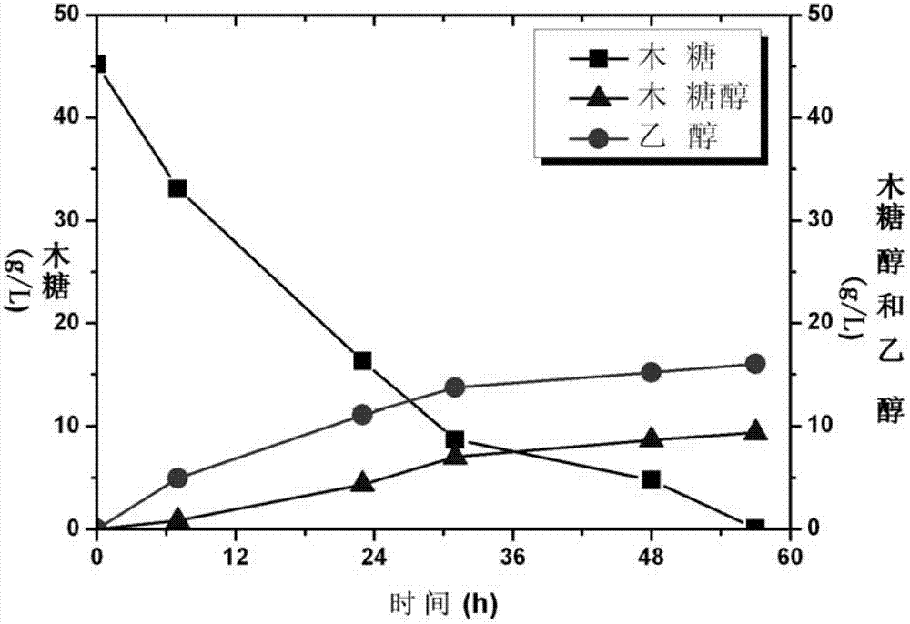 Saccharomyces cerevisiae engineering bacterium and its application in production of ethanol