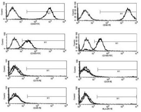 Synovial mesenchymal stem cell and PRP combined preparation for repairing articular cartilage injury as well as preparation method and application thereof