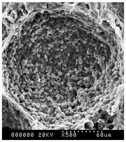 A biocompatibility-enhanced artificial bone scaffold material and its preparation method