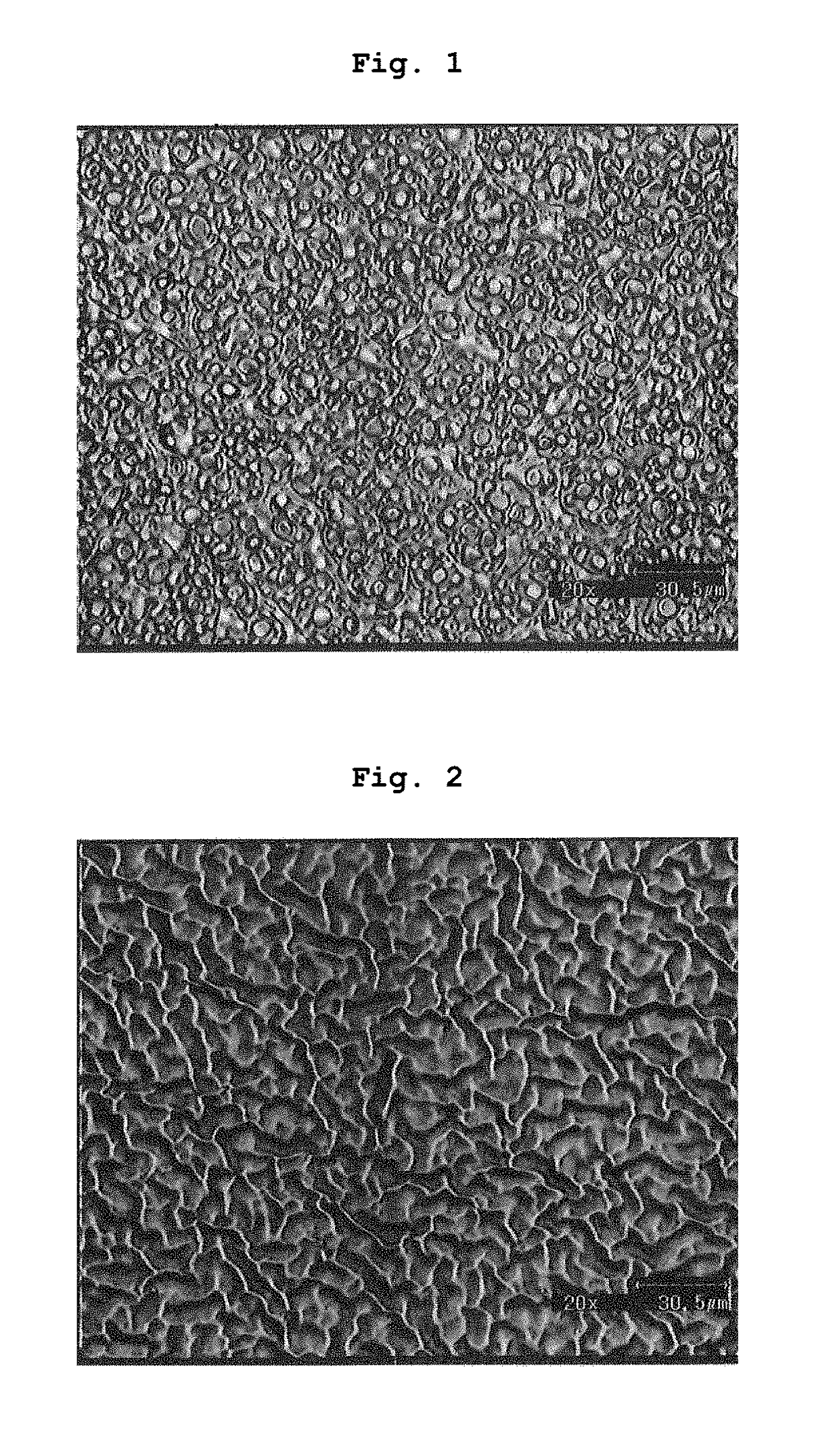 Anti-glare film and process for producing the same