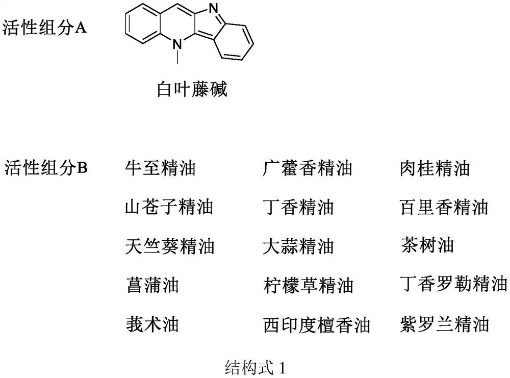 Application of bactericidal composition containing cryptolepine and plant essential oil in prevention and treatment of plant pathogenic fungi