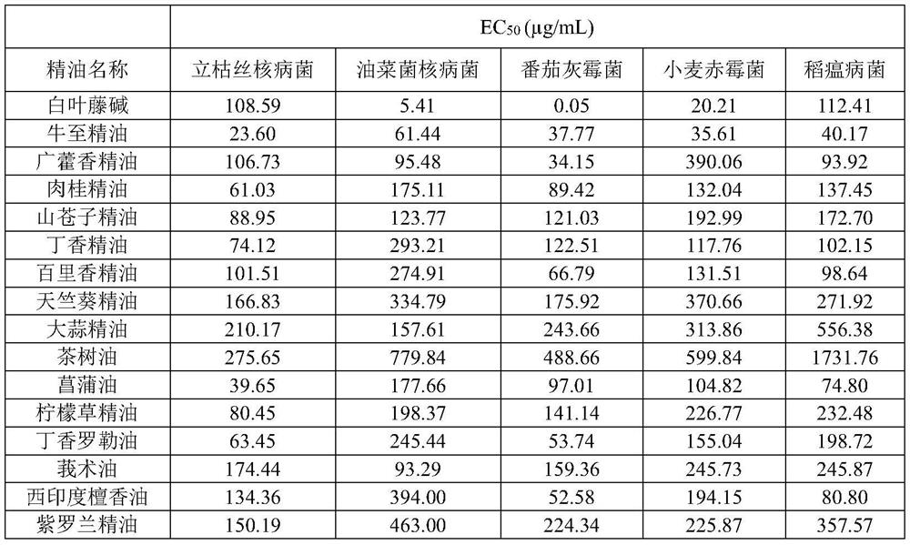 Application of bactericidal composition containing cryptolepine and plant essential oil in prevention and treatment of plant pathogenic fungi