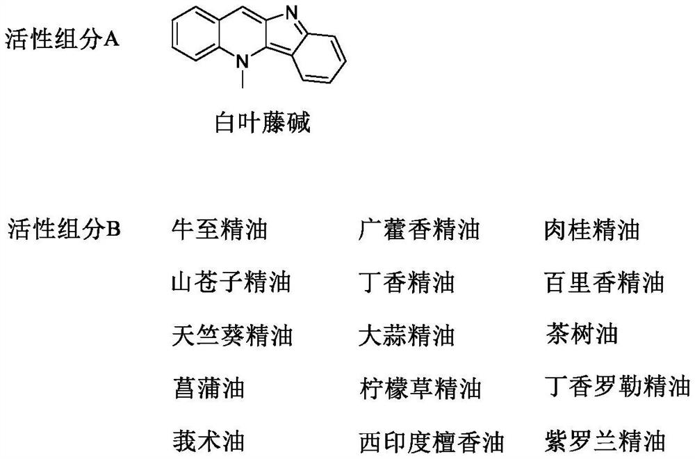 Application of bactericidal composition containing cryptolepine and plant essential oil in prevention and treatment of plant pathogenic fungi