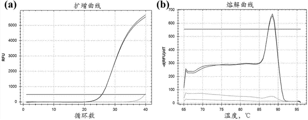 Kit and method for detecting methylation level of liver cancer risk gene TSPYL5