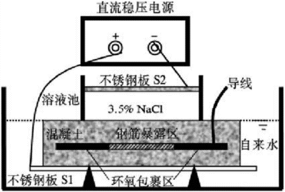 Exosmosis electricity acceleration type steel bar corrosion testing device and building method thereof