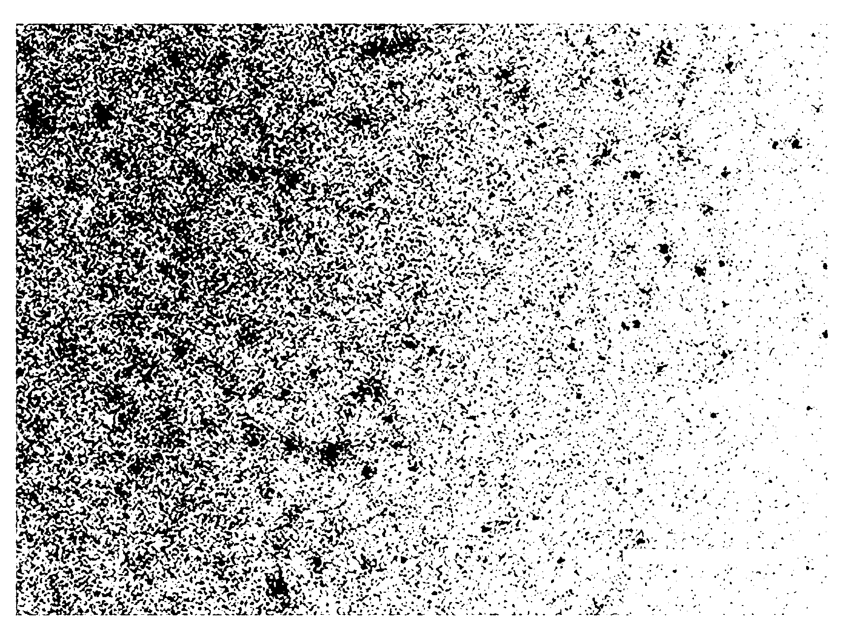 Preparation method of stable fluorescent carbon