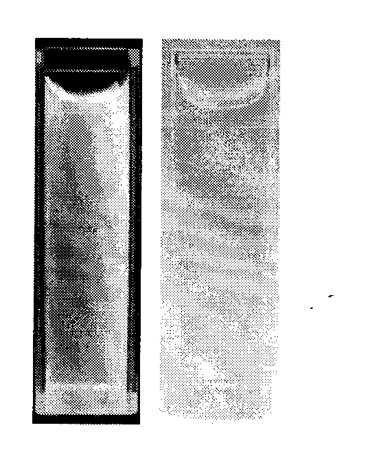 Preparation method of stable fluorescent carbon