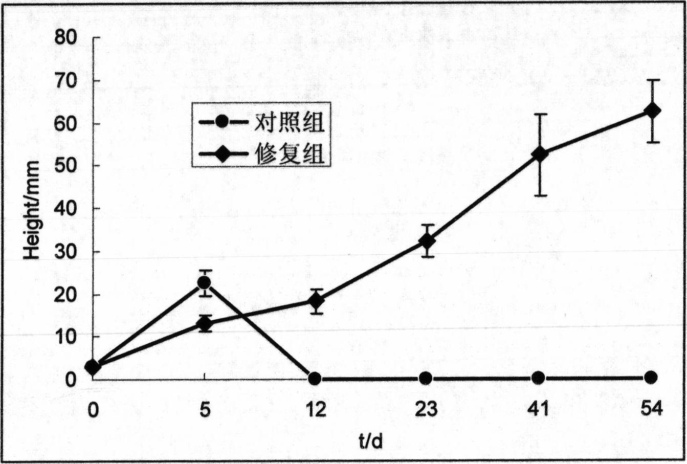 Coating method for sprouts of submerged plants by using oxygen-containing soil