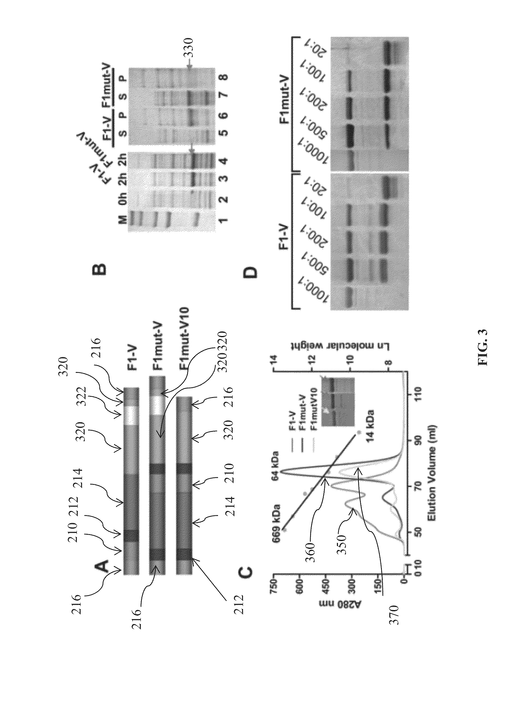 Mutated and bacteriophage T4 nanoparticle arrayed F1-V immunogens from <i>Yersinia pestis </i>as next generation plague vaccines