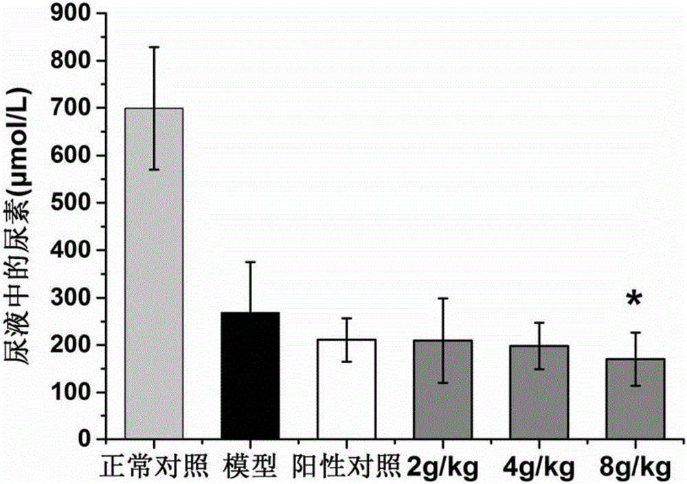 Traditional Chinese medicine alcohol extract for treating diabetic nephropathy and preparation method and application thereof