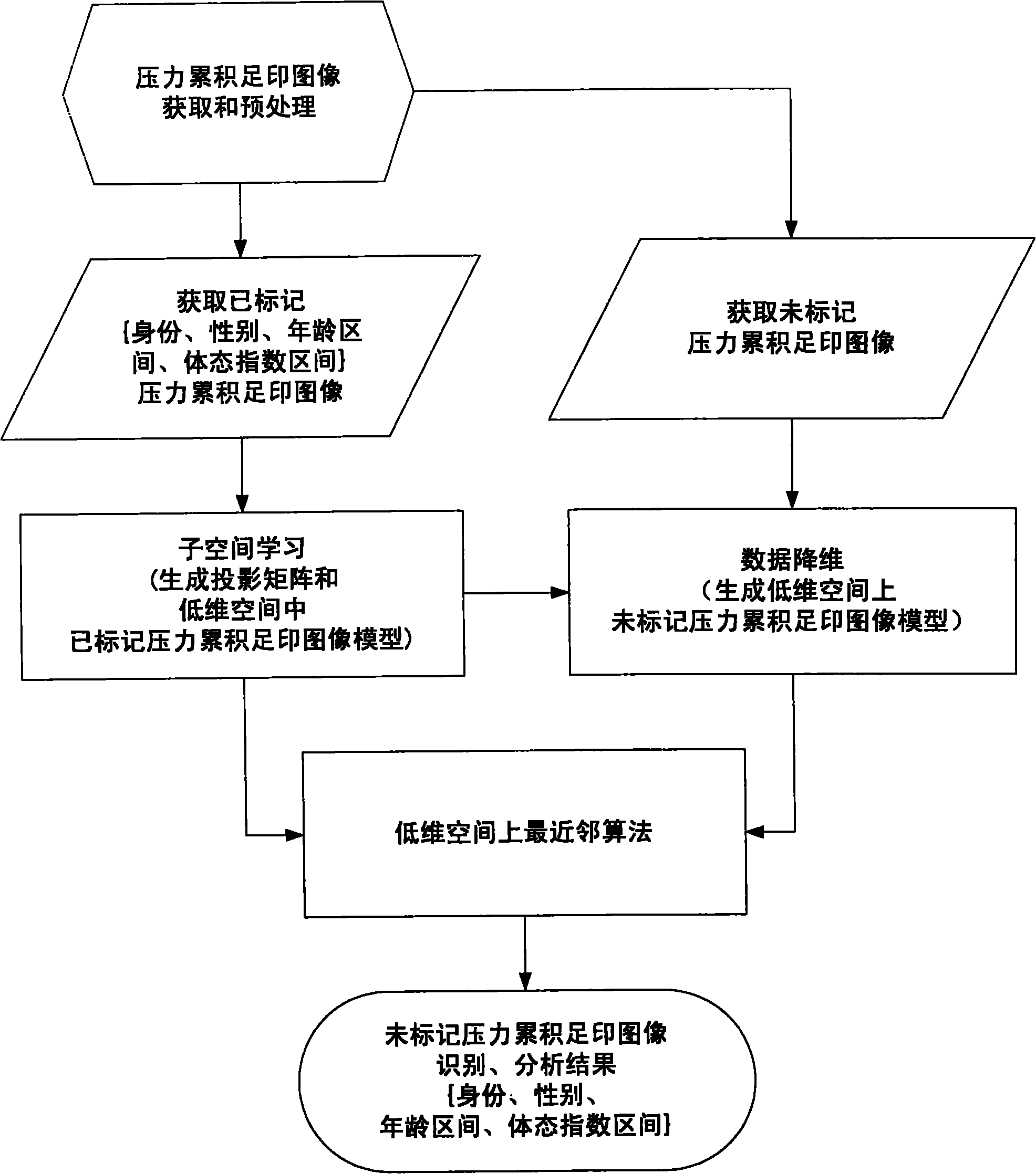 Method for biophysical analysis and identification of human body based on pressure accumulated footprint image