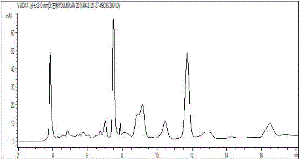 Method for measuring seven kinds of organic acid in rice wine by adopting solid-phase extraction-liquid-phase chromatogram method