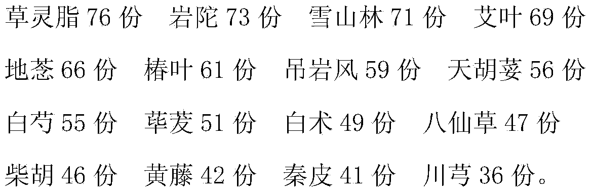 Traditional Chinese medicine preparation for treating pelvic inflammatory disease and preparation method thereof