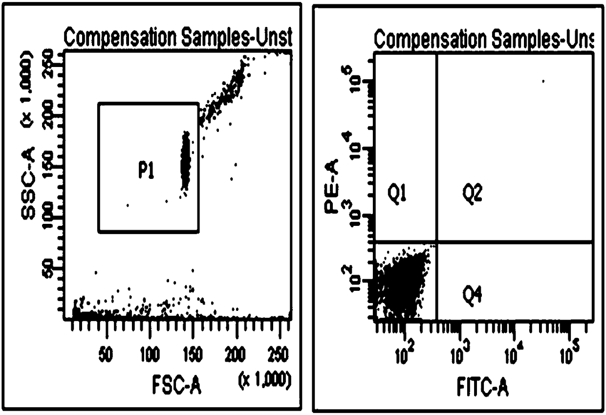 Method for sorting and screening nano antibody through flow cytometry