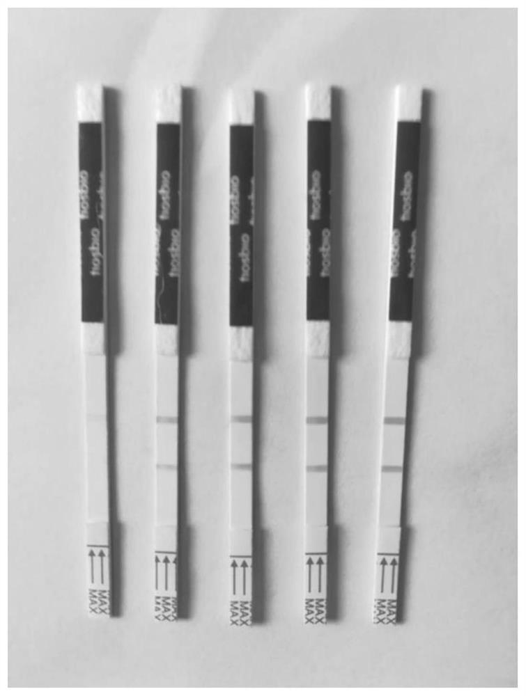 Buffer solution for cas12a editing DNA as well as preparation method and application of buffer solution