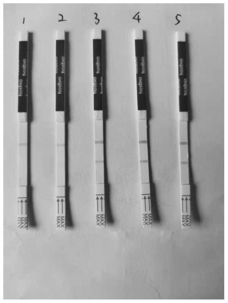 Buffer solution for cas12a editing DNA as well as preparation method and application of buffer solution