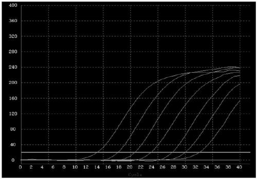 Respiratory tract pathogen rapid fluorescence PCR detection kit and primer probe combination thereof