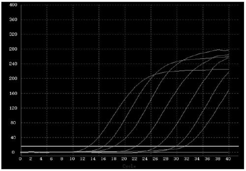 Respiratory tract pathogen rapid fluorescence PCR detection kit and primer probe combination thereof