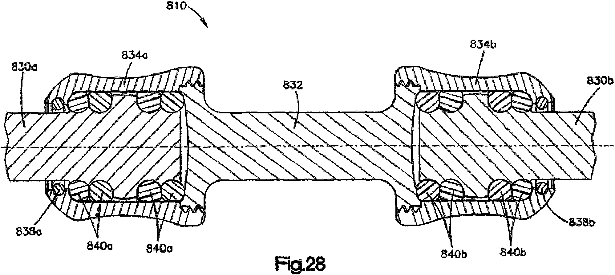 Vertebra posterior dynamic internal rob