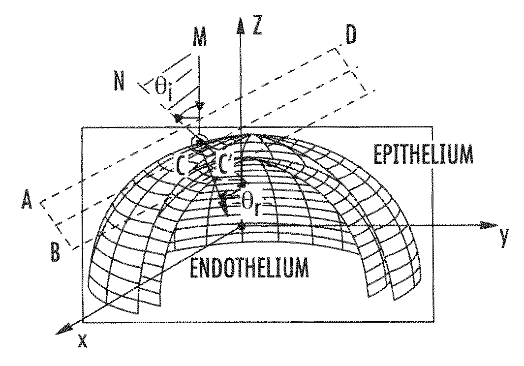 Methods and computer program products for quantitative three-dimensional image correction and clinical parameter computation in optical coherence tomography