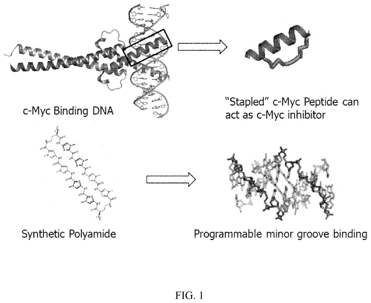 Artificial transcription factors comprising a sliding domain and uses thereof