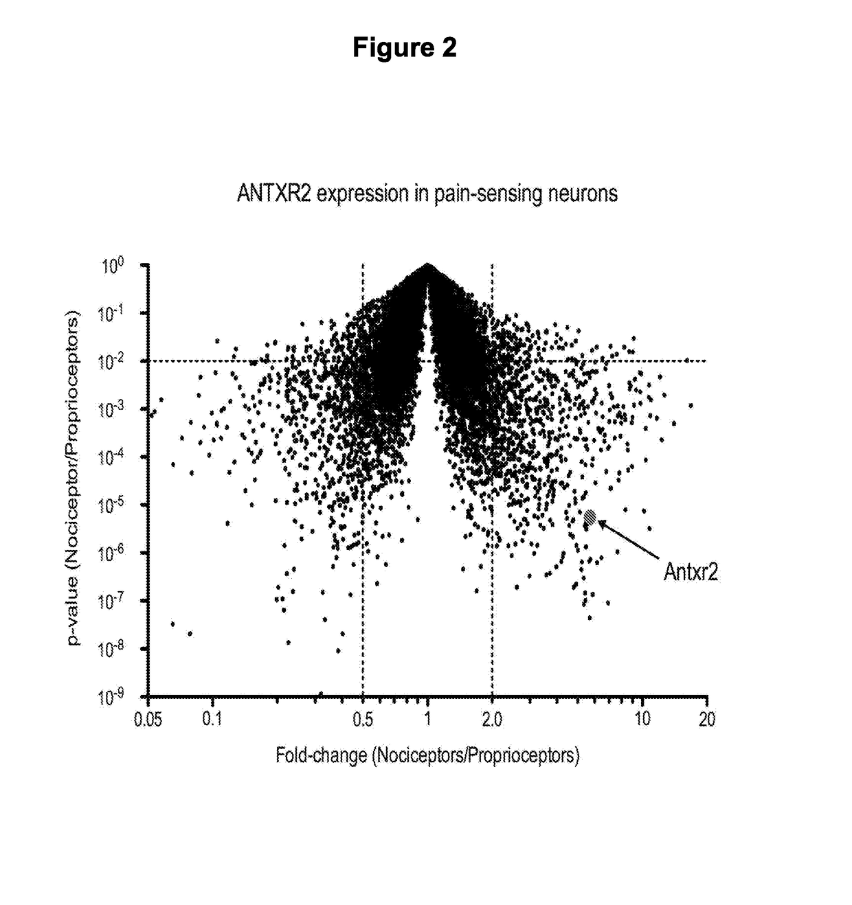 Compositions and methods for treatment of pain