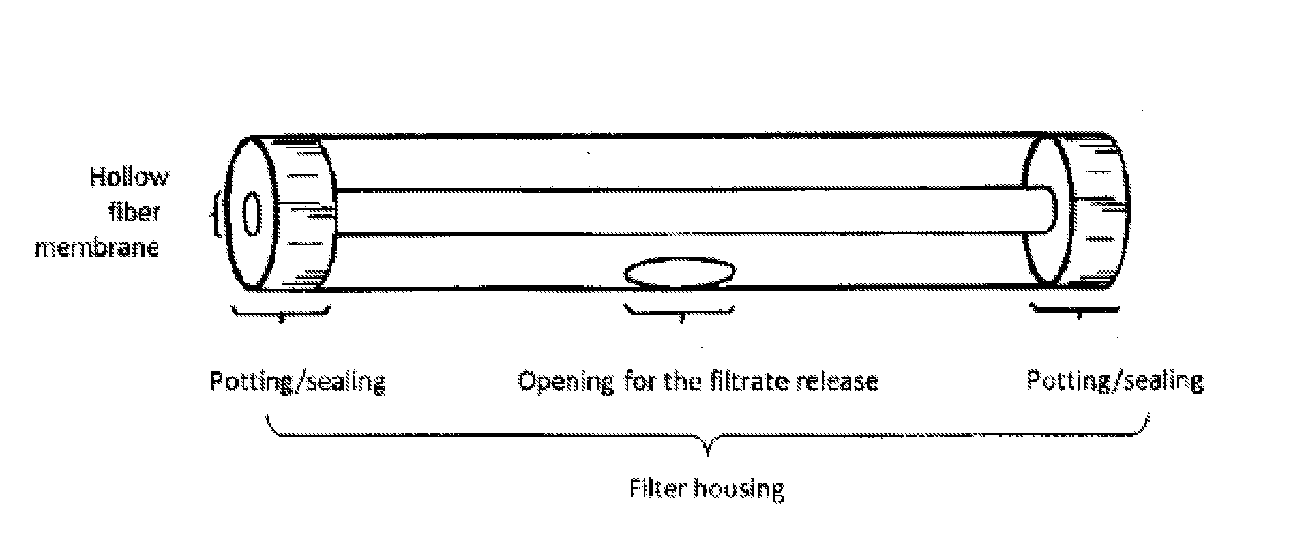 Polymeric Whole Blood Hollow Fiber Membrane Filter Medium and Use Thereof For Separating Blood Plasma/Serum From Whole Blood