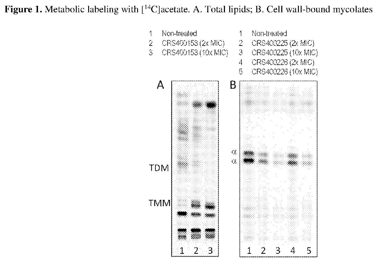 Novel Antimycobacterial Heterocyclic Amides