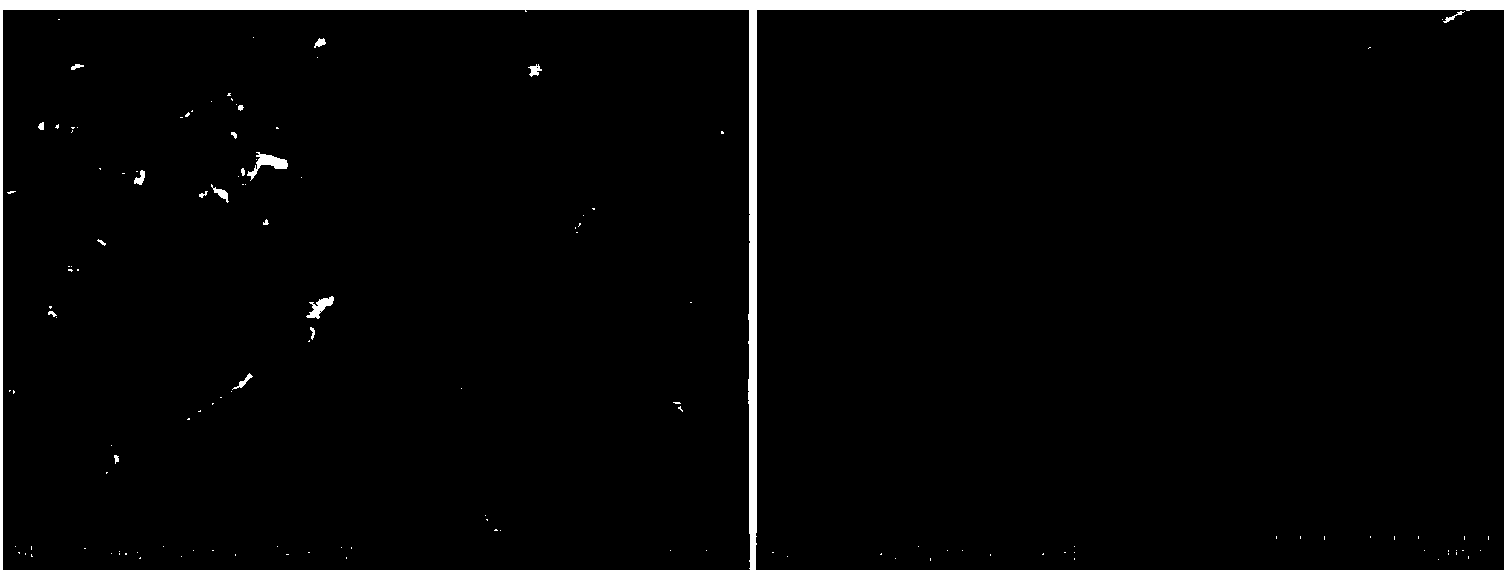 Antiflaming polylactic acid composite material prepared by RDP (resorcinol diphenyl phosphate) coated nano attapulgite