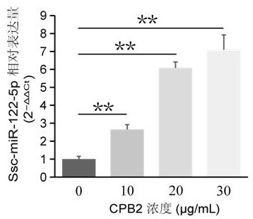 Ssc-miR-122-5p related to piglet C-type clostridium perfringens infectious diarrhea, and application of ssc-miR-122-5p