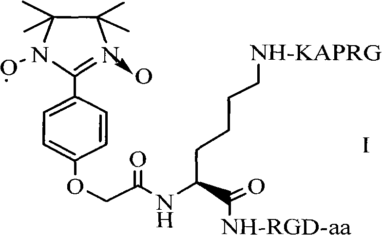 GRPAK/tetrahydroglyoxaline/RGD ternary conjugate as well as preparation method and application thereof