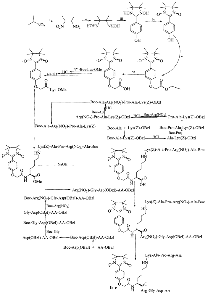 GRPAK/tetrahydroglyoxaline/RGD ternary conjugate as well as preparation method and application thereof