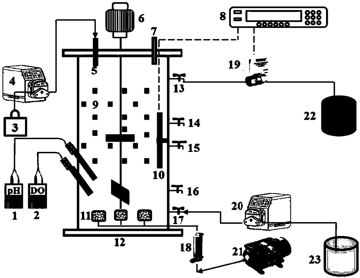 Application of betaine in relieving inhibition of activity of anammox sludge by high-concentration free ammonia