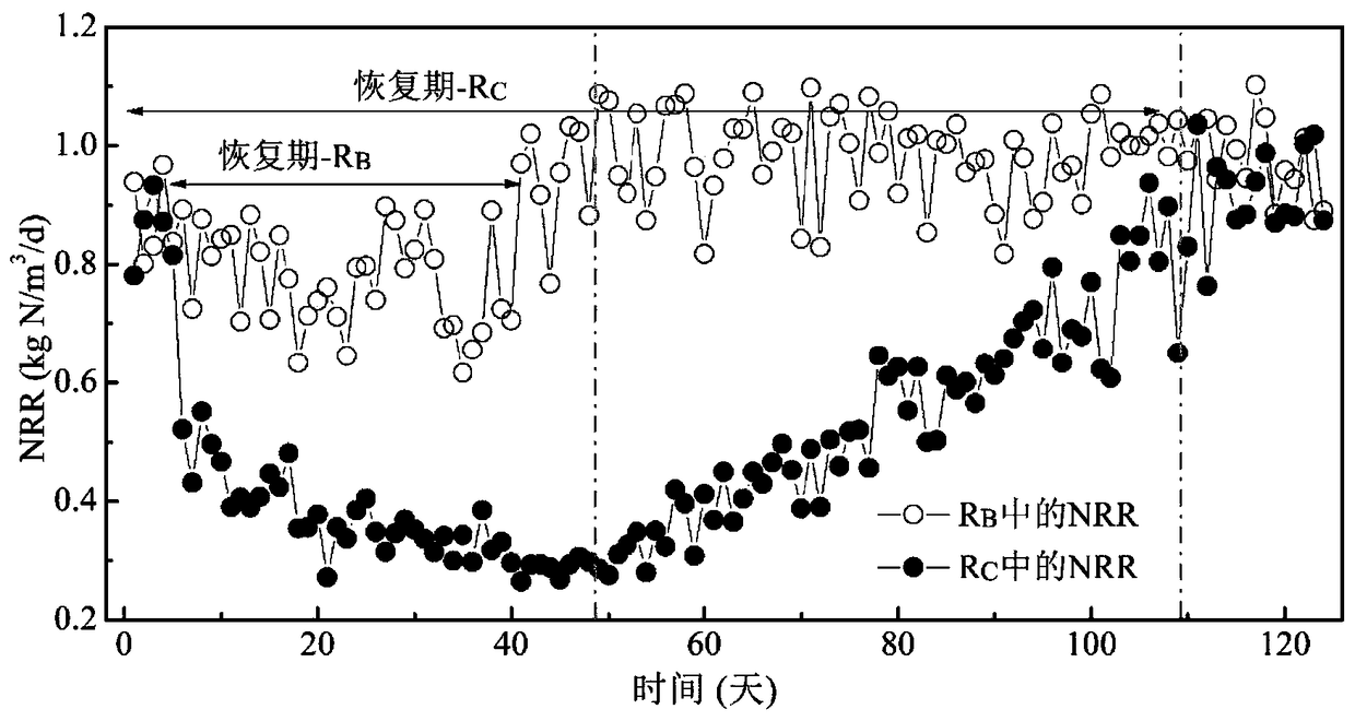 Application of betaine in relieving inhibition of activity of anammox sludge by high-concentration free ammonia