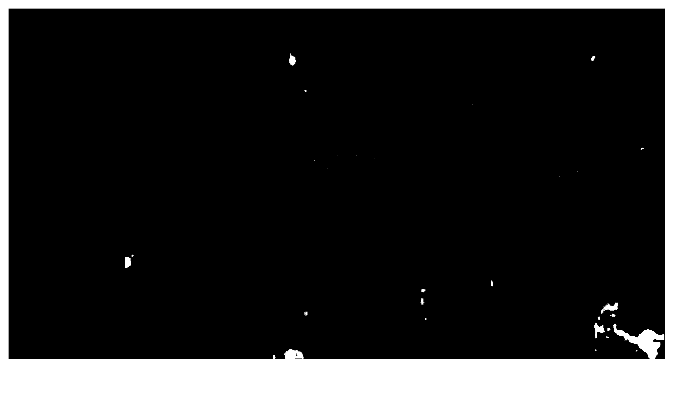 Connection method for copper-based powder metallurgy friction material and steel backing