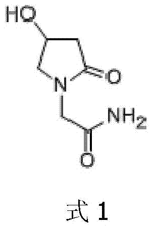 A kind of pharmaceutical composition preparation containing piracetam and preparation method thereof