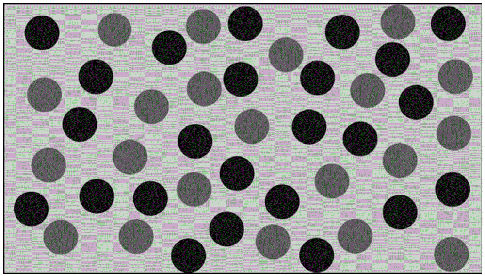 Multiferroic liquid and preparation method thereof