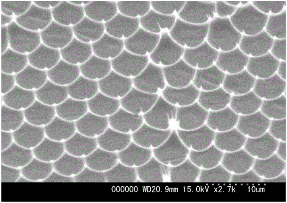 A composite photonic film for multiple development and preparation method thereof