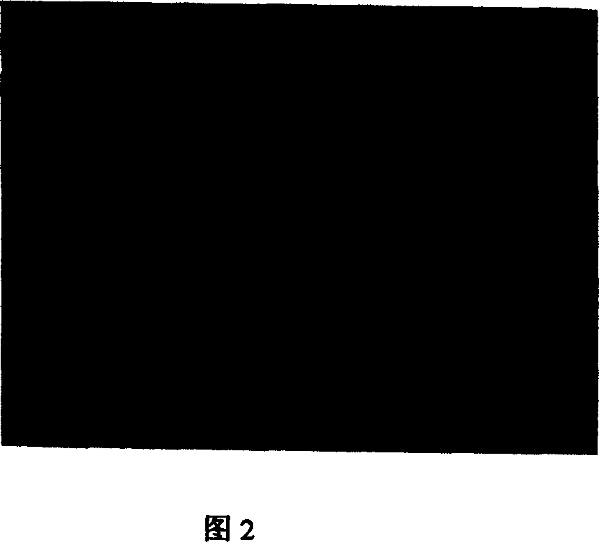 Production for powdery diffused cathode base material containing scandium