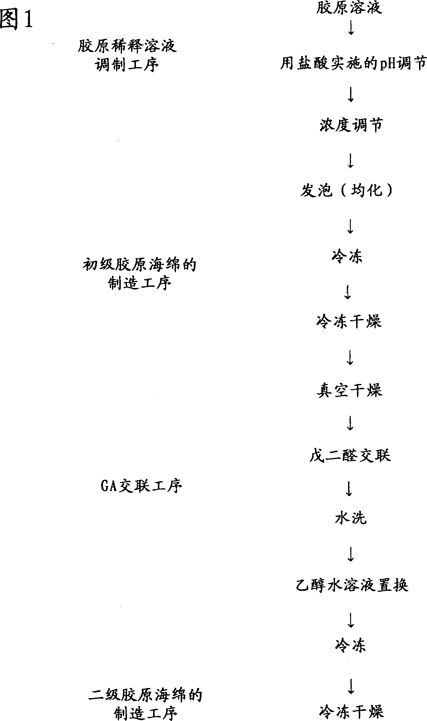 Process for producing collagen sponge, process for producing artificial skin, artificial skin and cell tissue culture substrate