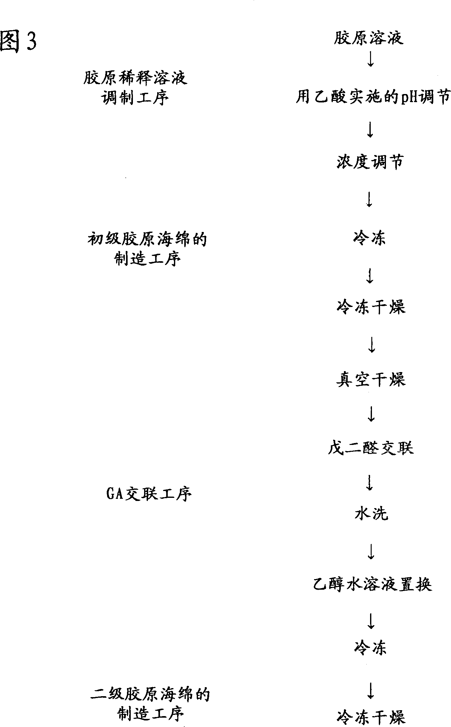 Process for producing collagen sponge, process for producing artificial skin, artificial skin and cell tissue culture substrate