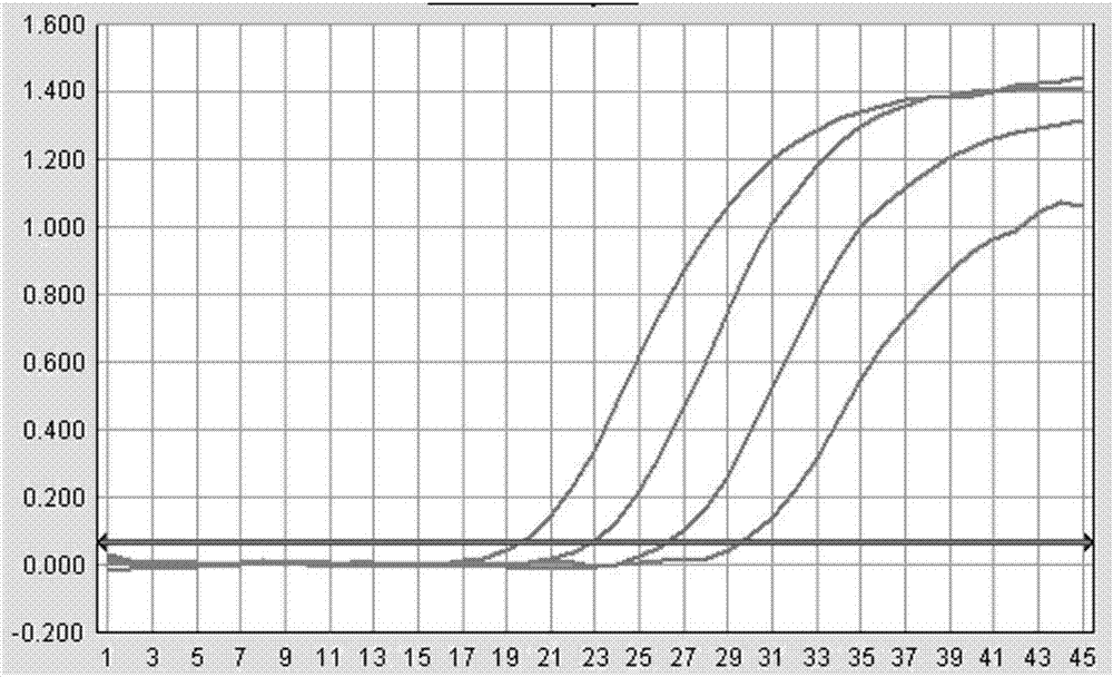 Viral/bacterial lysate and fluorescent quantitative PCR detection method