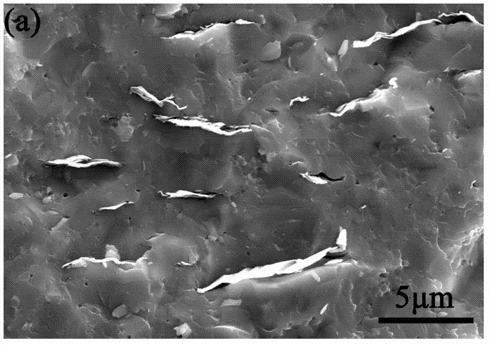 Graphene/dual-phase calcium phosphate composite material and preparation method thereof