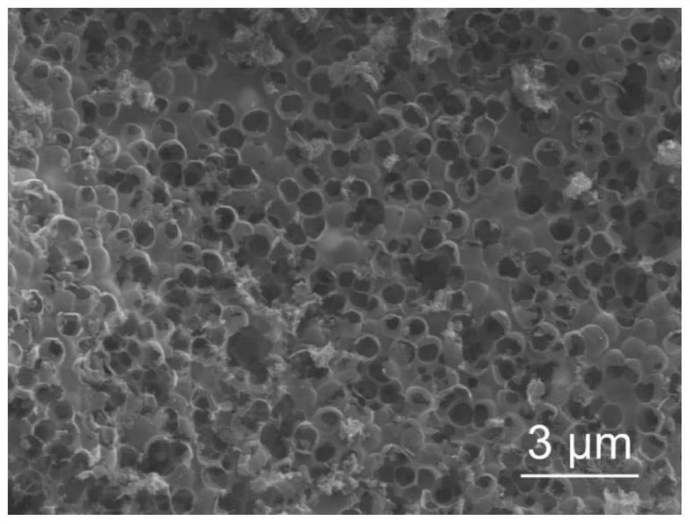 A kind of preparation method of iron/nitrogen/carbon composite material