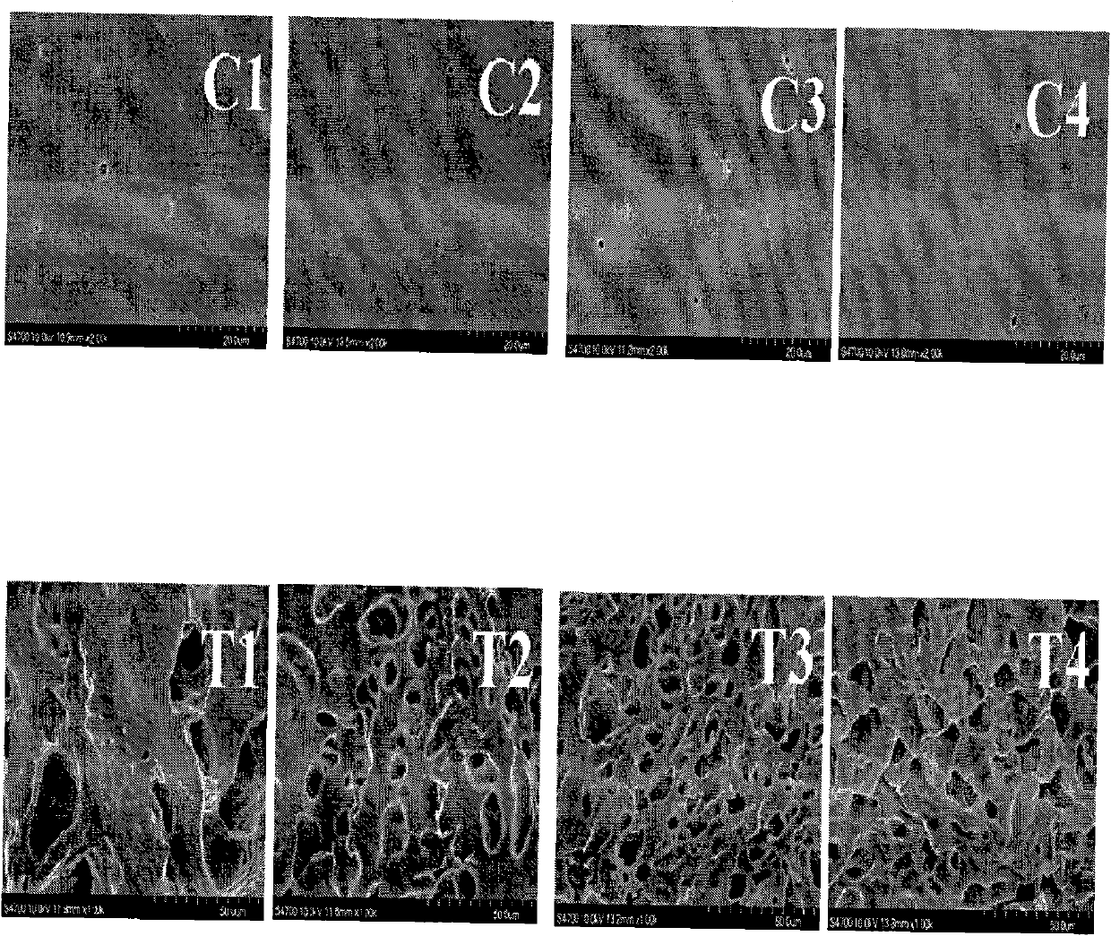 Method for preparing photoresponse hydrogel containing azo monomer by utilizing light sources with different wavelengths