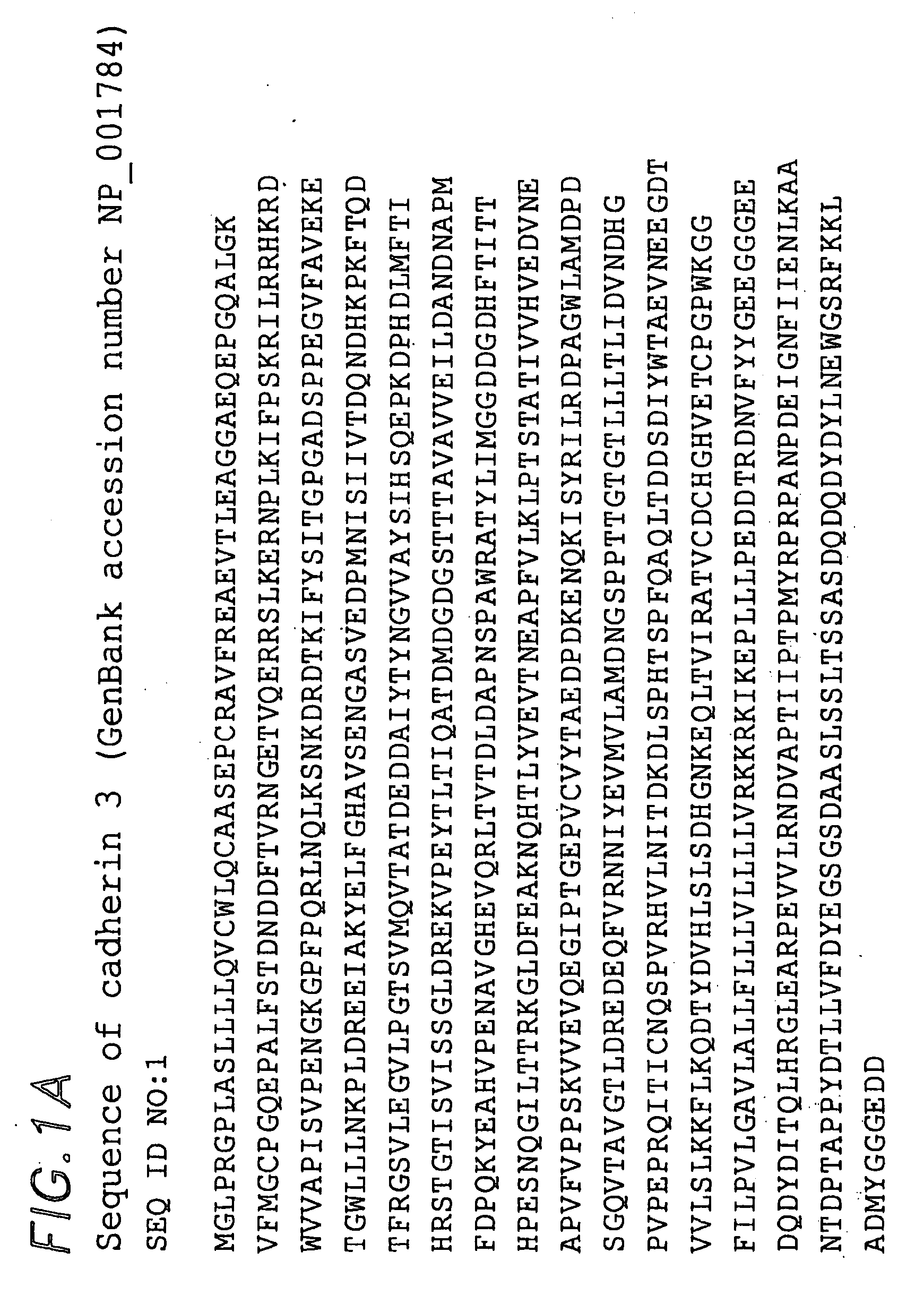 Methods of classifying, diagnosing, stratifying and treating cancer patients and their tumors