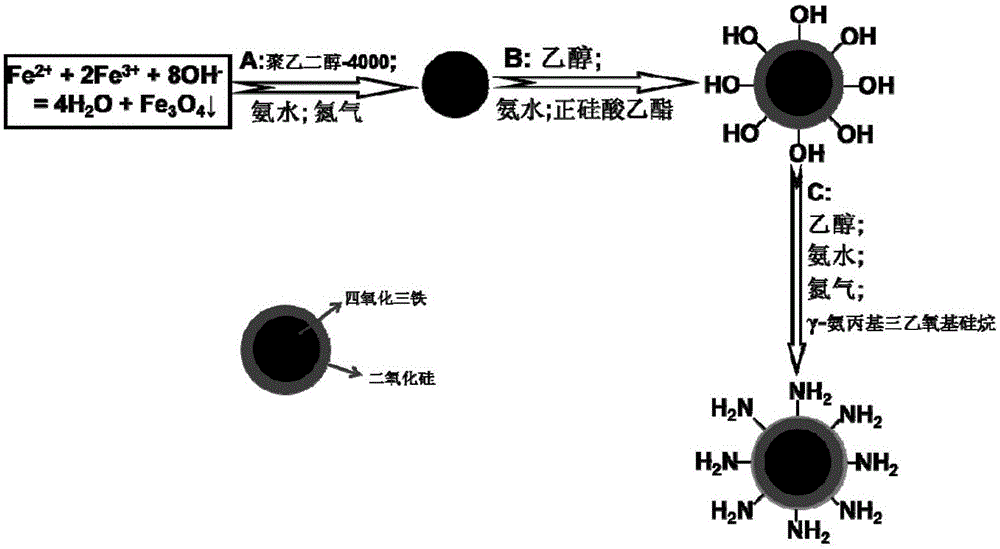 Preparation method for magnetic macromolecule nanoball