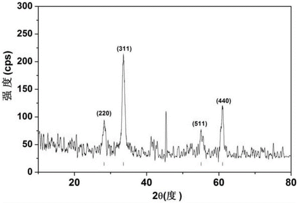 Preparation method for magnetic macromolecule nanoball